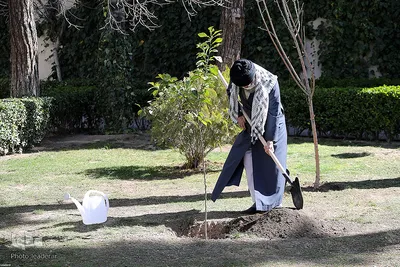 کاشت نهال توسط رهبر انقلاب