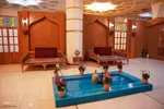 افتتاح نمایشگاه ستاره های زمین در حرم مطهر حضرت شاهچراغ (ع)