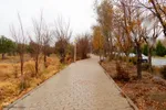 آخرین روز‌های پاییز در دانشگاه اصفهان