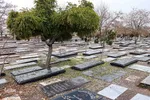 پاییز در قبرستان قدیمی زنجان