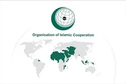 OIC Says India's Moves in Kashmir Breach of UNSC Resolutions