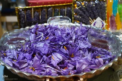پانزدهمین نمایشگاه بین‌المللی «گردشگری، صنایع دستی و هتلداری» در اصفهان