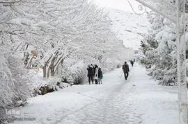تبریز سپید پوش
