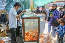 رونق بازار گل و گیاه در آستانه بهار