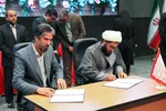پایان دومین جشنواره ملی زرشک خراسان‌جنوبی