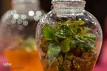 نمایشگاه هفته پژوهش استان البرز‎‎