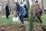 آیین کاشت ۱۱۰ هزار درخت جدید در عرصه‌های شهری اصفهان