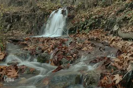 روز قم