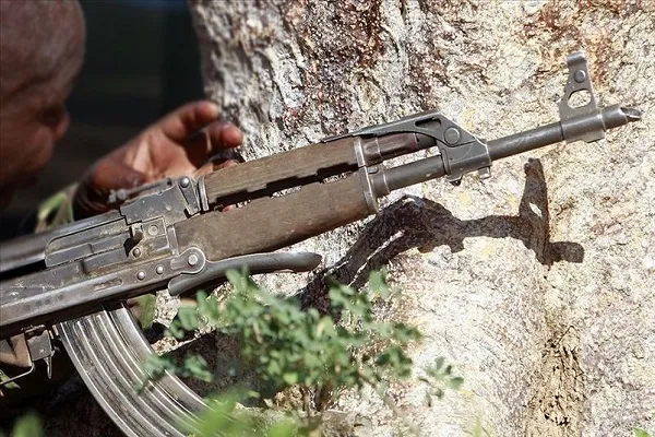Somali'de 100'den fazla Eş-Şebab üyesi etkisiz hale getirildi