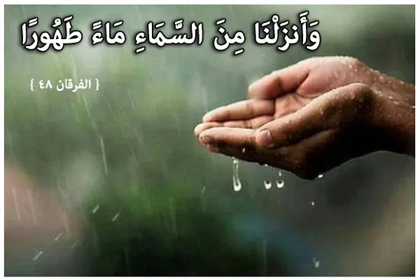 تكريم الفائزين في مسابقة 