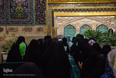 حال و هوای حرم رضوی در شب میلاد امام رضا(ع)