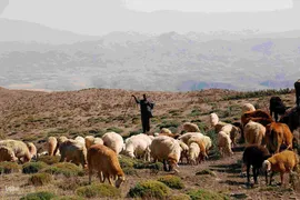 جاذبه‌های گردشگری اهر؛ دروازه بهشت ارسباران