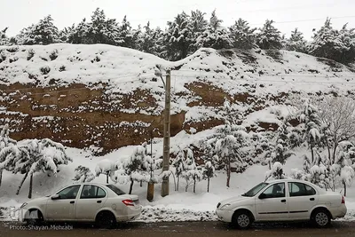 تهران برفی