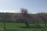 طبیعت بهاری روستاهای شهرستان اهر
