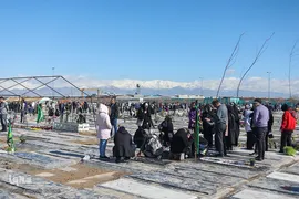 آغاز سال نو در کنار شهدا و درگذشتکان