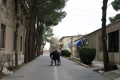 تهرانگردی احمد مسجد جامعی
