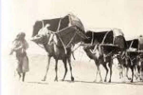 প্রাচীন হজযাত্রার পথ সুরক্ষার উদ্যোগ