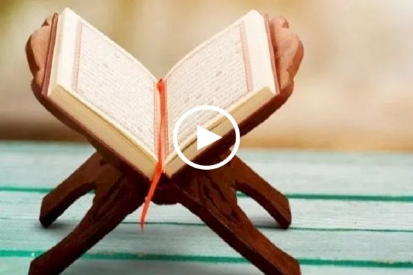الختمة المرتلة لشهر رمضان | الجزء الخامس | القارئ 