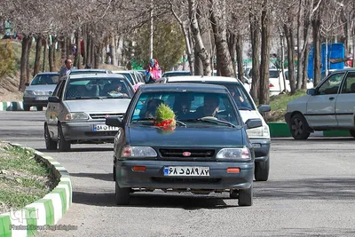 روز طبیعت در زنجان