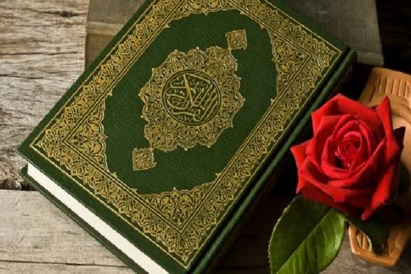 موضع تأمل‌برانگیز سازمان عفو بین‌الملل در برابر توهین به قرآن