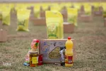 «عید همدلی»- شیراز