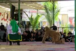 تعزیه ظهر عاشورا در امامزاده سیدابراهیم خمینی‌شهر