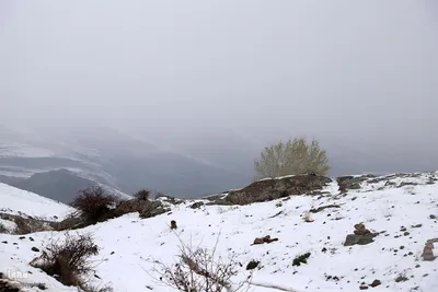زمستان در بهار منطقه ارسباران