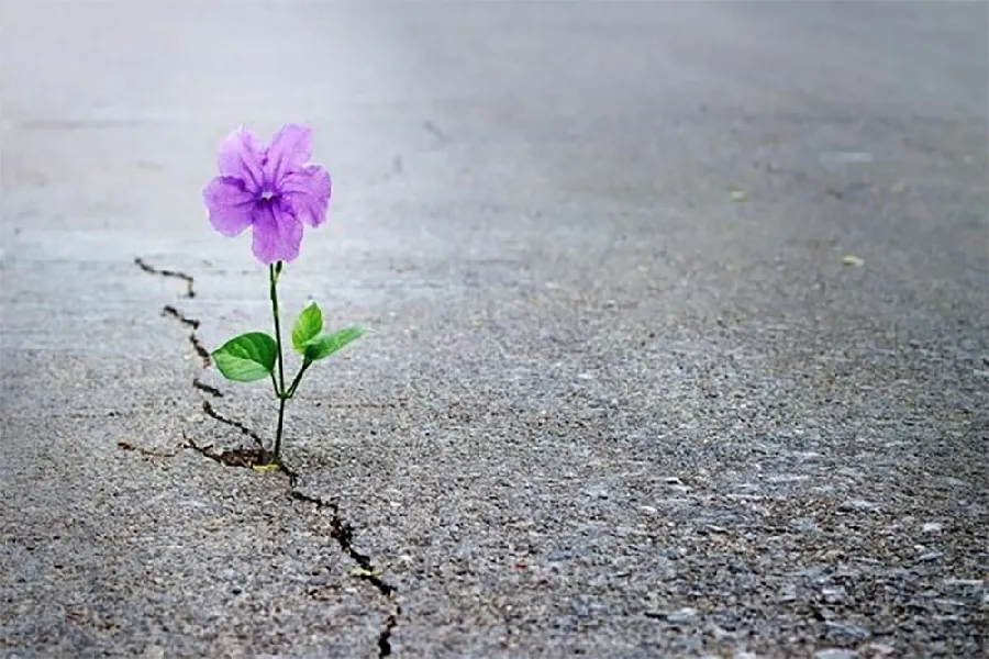 نسبت‌یابی امید و خودکارآمدی