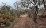 طبیعت پاییزی یزد در قاب تصویر