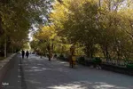طبیعت پاییزی تبریز
