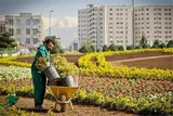 کرمانشاه به استقبال بهار می‌رود