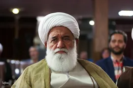 آیت‌الله علی اکبر رشاد، رئیس و مؤسس پژوهشگاه فرهنگ و اندیشه اسلامی در هم‌اندیشی بین‌المللی اصحاب ادیان و مسئله غزه
