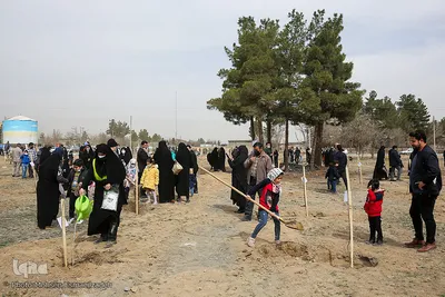 پویش سراسری درختکاری - مشهد
