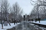 اولین بارش برف در همدان‎
