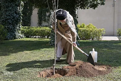 کاشت نهال در هفته منابع طبیعی توسط رهبر انقلاب
