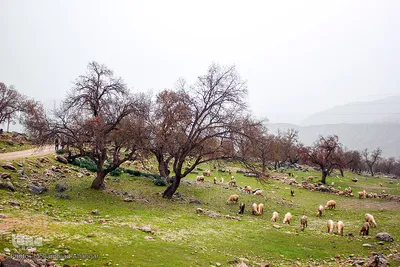 اندیکا، شگفتی در دل کوه