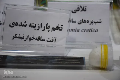 نمایشگاه دستاوردهای 40 ساله انقلاب
