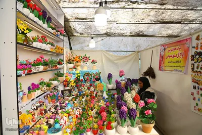 رونق بازار گل و گیاه در آستانه بهار
