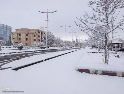 بارش اولین برف پاییزی در شهرستان اهر