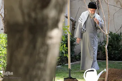 کاشت نهال در روز درختکاری