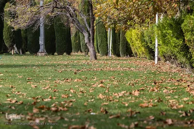 پاییز٬فصل آیه های خدا