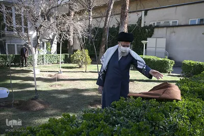 کاشت نهال توسط رهبر انقلاب
