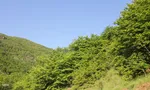 بهشت زیبای آذربایجان