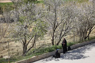 مسابقات قرآن دانش آموزان در استهبان‎‎