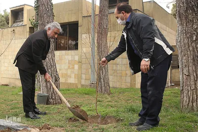 کاشت درخت توسط هنرمندان در فرهنگسرای نیاوران