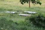 امام زاده ای در دل طبیعت بکر و جنگلی اهر