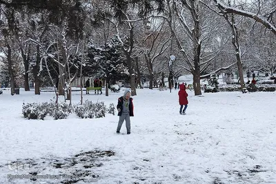 اولین بارش برف در همدان‎
