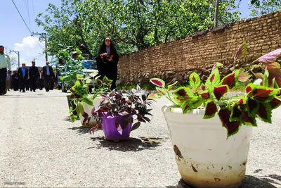 یادواره شهدای والامقام طجرسامن‎