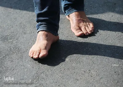 عزاداری ظهر عاشورا در حرم فاطمه معصومه(س)