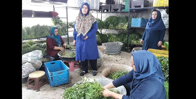 داستان خواندنی زنی کارآفرین که با تلاش زندگی‌اش را زیر و رو کرد